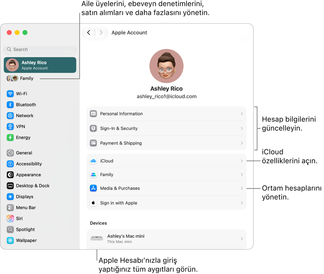 Hesap bilgilerini güncellemeye, iCloud özelliklerini açıp kapatmaya, ortam hesaplarını yönetmeye ve aile üyelerini, ebeveyn denetimlerini, satın alımları ve daha fazlasını yönetebileceğiniz Aile ayarlarını düzenlemeye belirtme çizgileri ile Sistem Ayarları’nda Apple Hesabı ayarları.