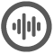 the Audio Track button