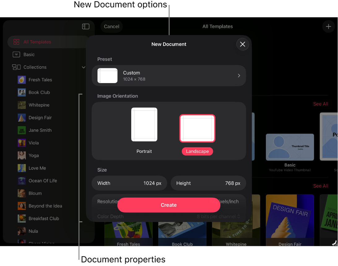 The document browser