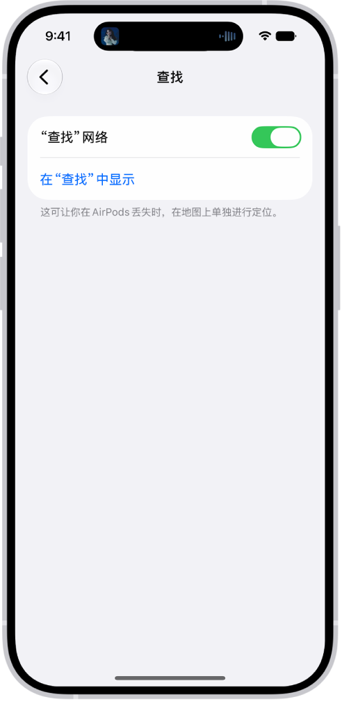 iPhone 上的蓝牙设置显示 AirPods&nbsp;Pro 的选项。 “查找”网络选项已打开，这可让你在 AirPods 丢失时逐一在地图上进行定位。