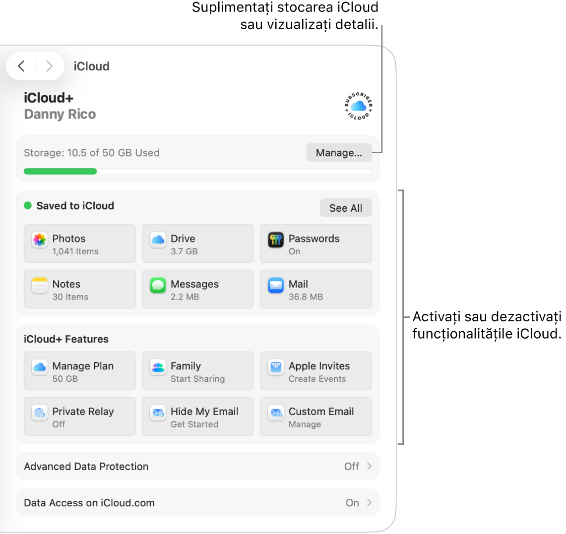 Configurările iCloud pentru cele mai utilizate funcționalități.