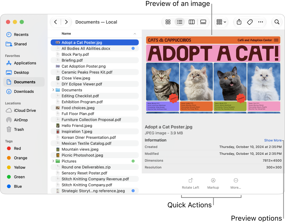 A Finder window with the Preview pane open, showing file details and a preview of the selected item on the right.