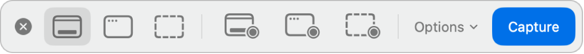 Un pannello di Screenshot.