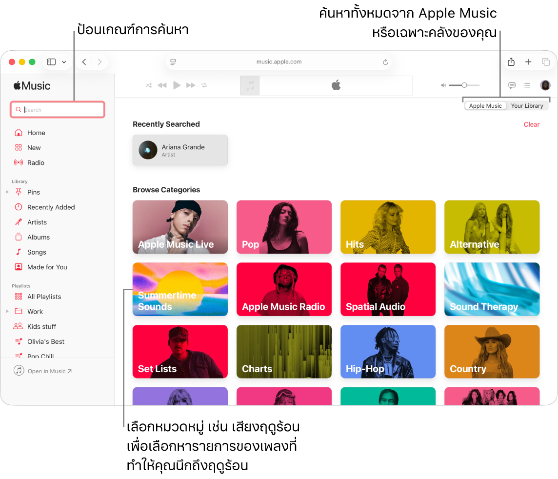 หน้าต่าง Apple Music ที่แสดงช่องค้นหาที่มุมซ้ายบนสุด รายการหมวดหมู่ที่กึ่งกลางของหน้าต่าง และ Apple Music หรือคลังของคุณที่มุมขวาบนสุด ป้อนเกณฑ์การค้นหาในช่องค้นหา จากนั้นเลือกว่าจะให้ค้นหาทั้งหมดใน Apple Music หรือเฉพาะคลังของคุณ หรือเลือกหมวดหมู่ เช่น Summertime Sounds เพื่อเลือกหารายการของเพลงที่ทำให้คุณนึกถึงฤดูร้อน
