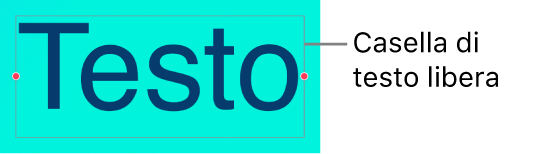 Il testo in una casella di testo libera.
