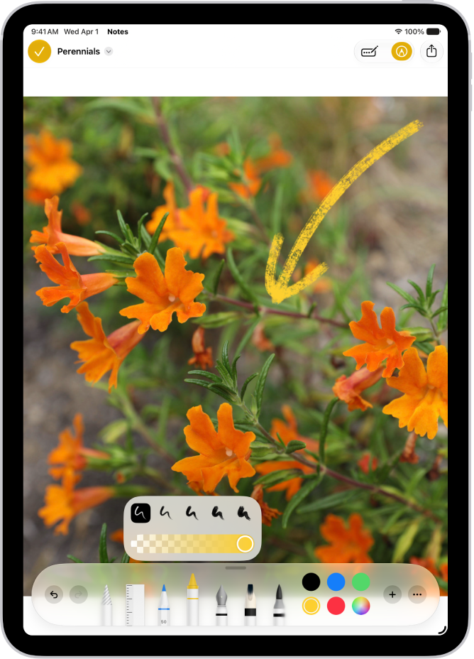 A note is open in the Notes app, and the Markup toolbar is open at the bottom of the screen. The Markup tools from left to right are: the Pen, Mono line, Marker, Eraser, Lasso, Ruler, and Pencil, followed by color buttons, the Add button, and the More button.