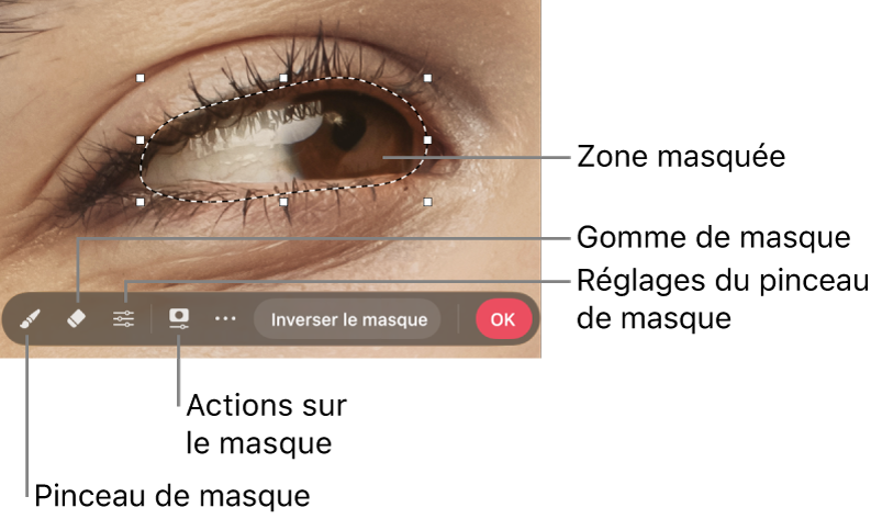 Un masque bitmap sur une photo, avec la barre d’outils visible.