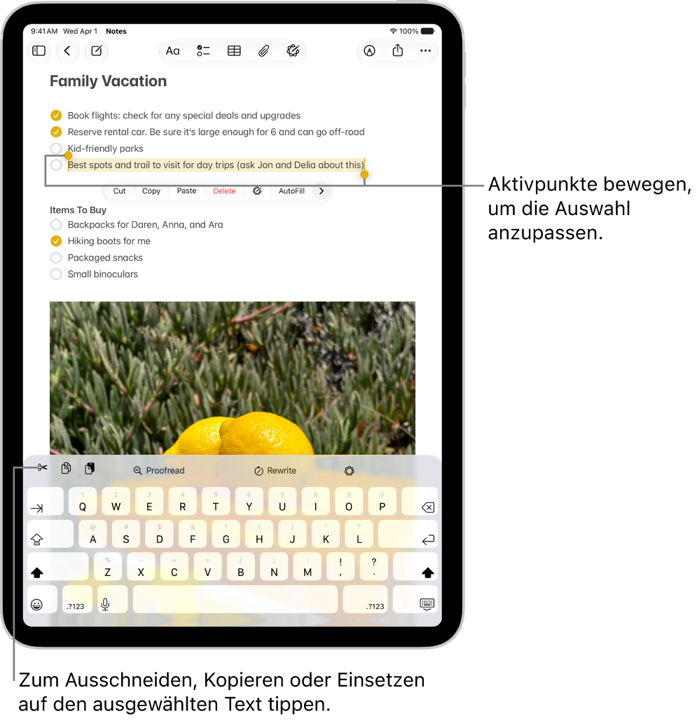 In einer Notiz in der App „Notizen“ ist Text ausgewählt. Über dem ausgewählten Text befinden sich die Tasten „Ausschneiden“, „Kopieren“ und „Einsetzen“. Der ausgewählte Text ist hervorgehoben, an jedem Ende befinden sich Aktivierungspunkte zum Anpassen der Auswahl.