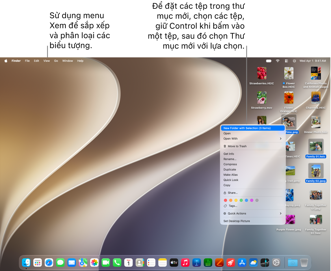 Màn hình nền máy Mac đang hiển thị hình nền, thanh menu ở trên cùng và Dock ở