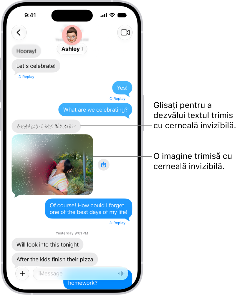 O conversație din Mesaje incluzând un mesaj text și o poză trimise cu efectul Cerneală invizibilă.