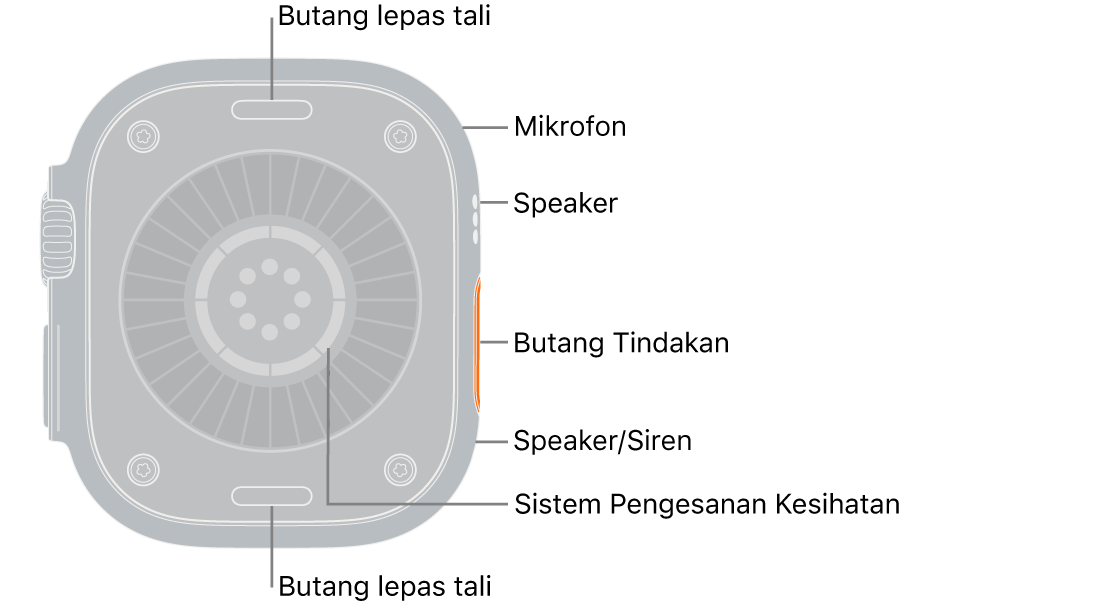 Belakang Apple&nbsp;Watch&nbsp;Ultra 4, dengan butang lepaskan tali di atas dan bawah. Di sisi ialah mikrofon, speaker, sistem penderiaan kesihatan, butang Tindakan dan port speaker dari tempat siren dipancarkan.